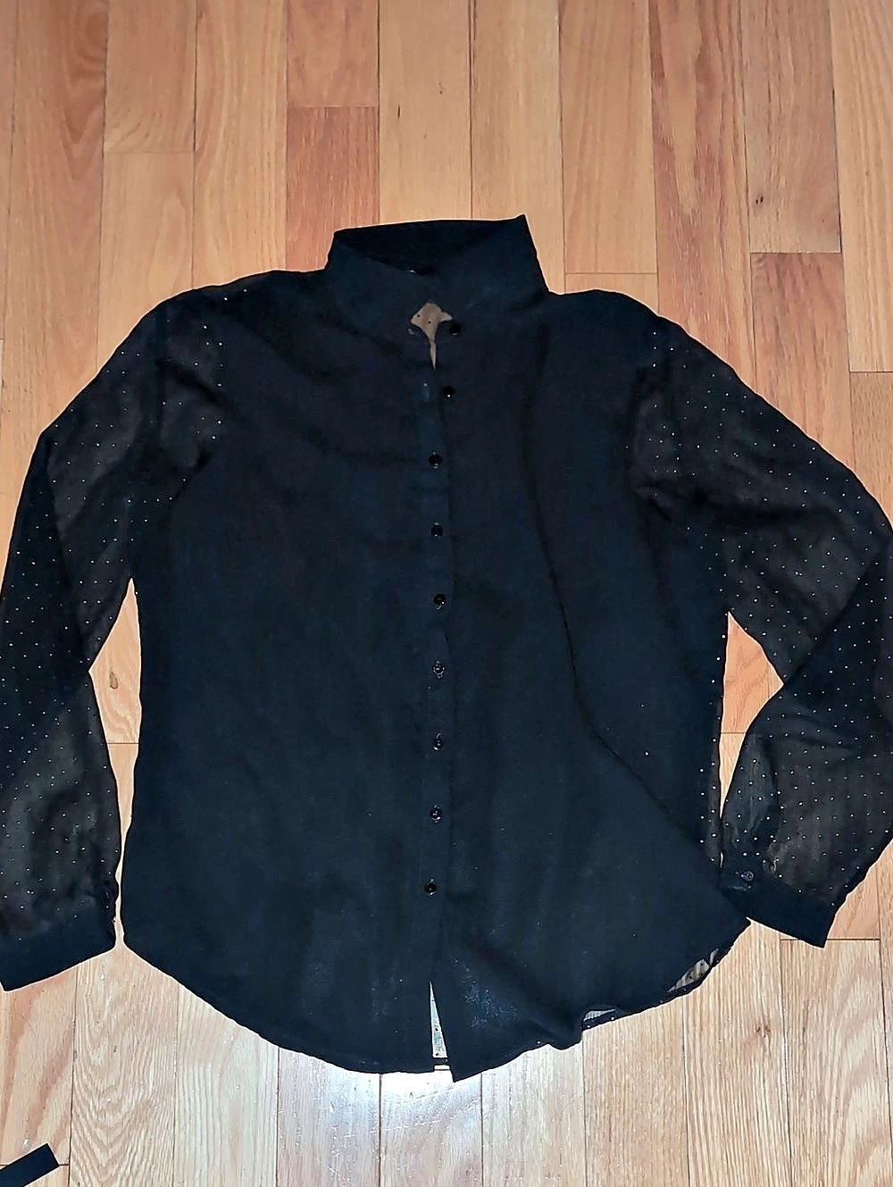 Zara Black Sheer Blouse